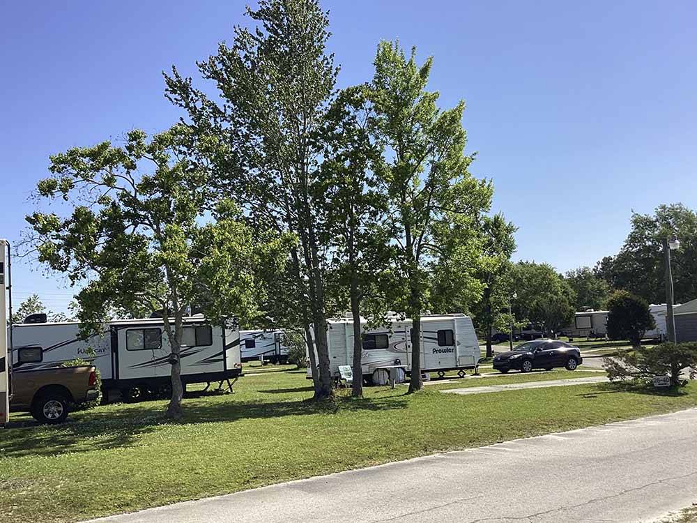 A group of trees next to RV sites at CAMPGROUNDS OF THE SOUTH