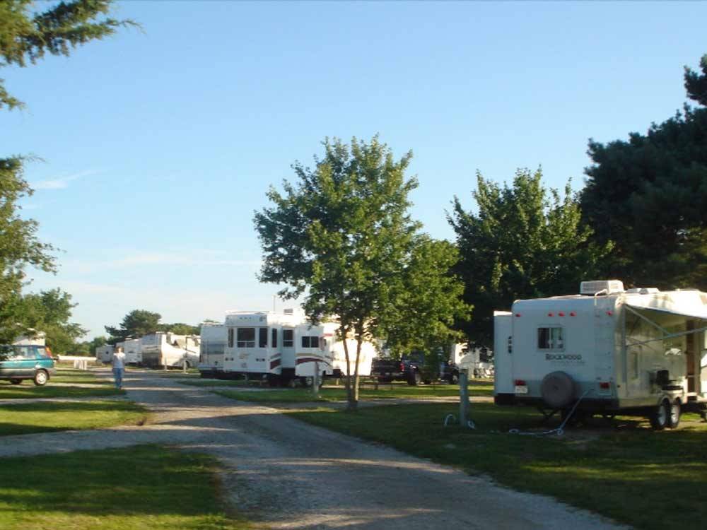 Trailers and RVs camping at PINE GROVE RV PARK