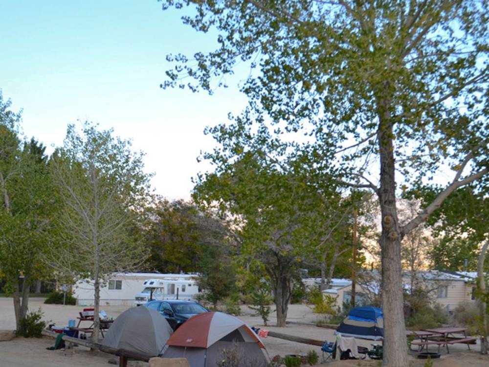 Tent sites available