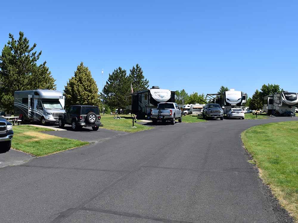A row of back in RV sites at DEER PARK RV RESORT