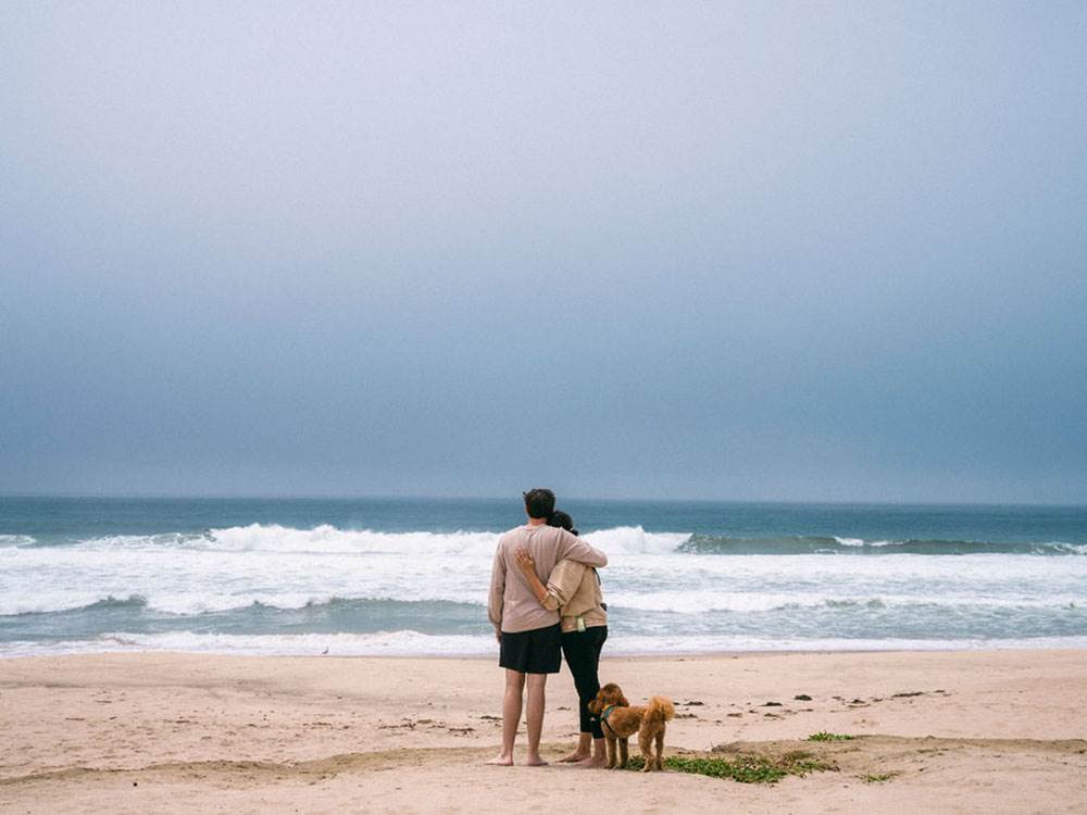 A couple and their dog on the beach
