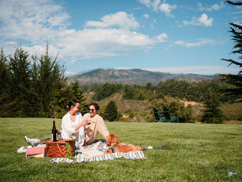 A couple and their dog enjoying a picnic