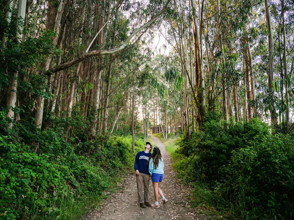 A couple on a tree-lines nature trail