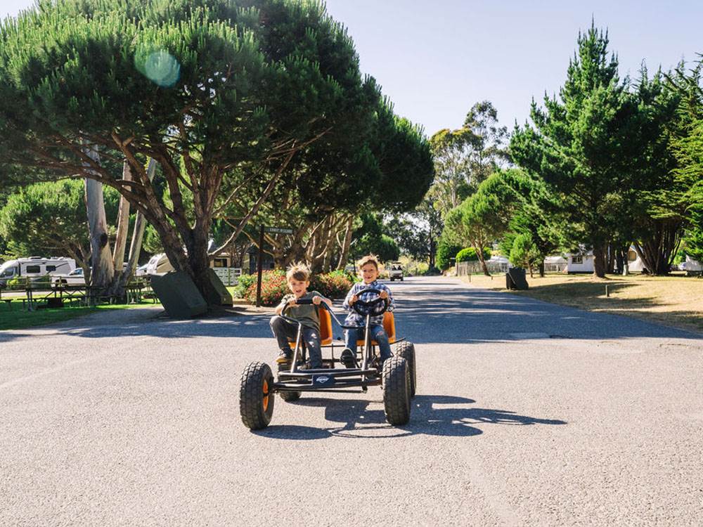Two kids on a pedal go cart