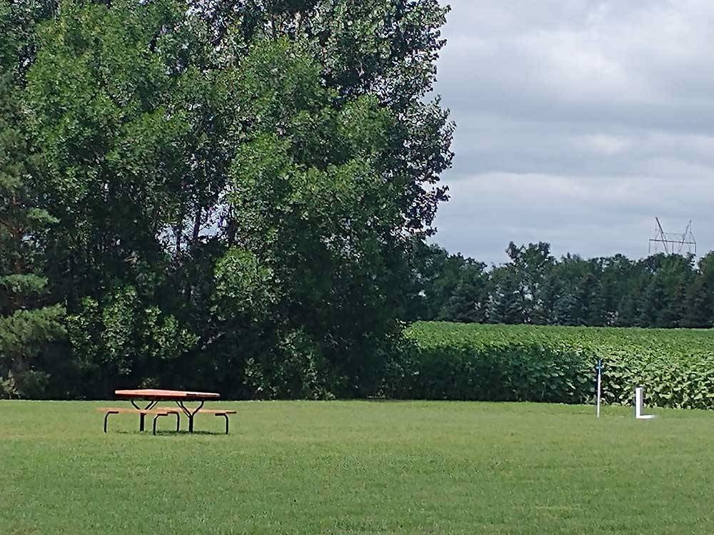Picnic table in a grassy field with trees at A PRAIRIE BREEZE RV PARK