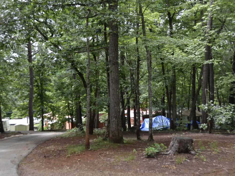 The tenting area surrounded by trees at FORT WILDERNESS CAMPGROUND AND RV PARK