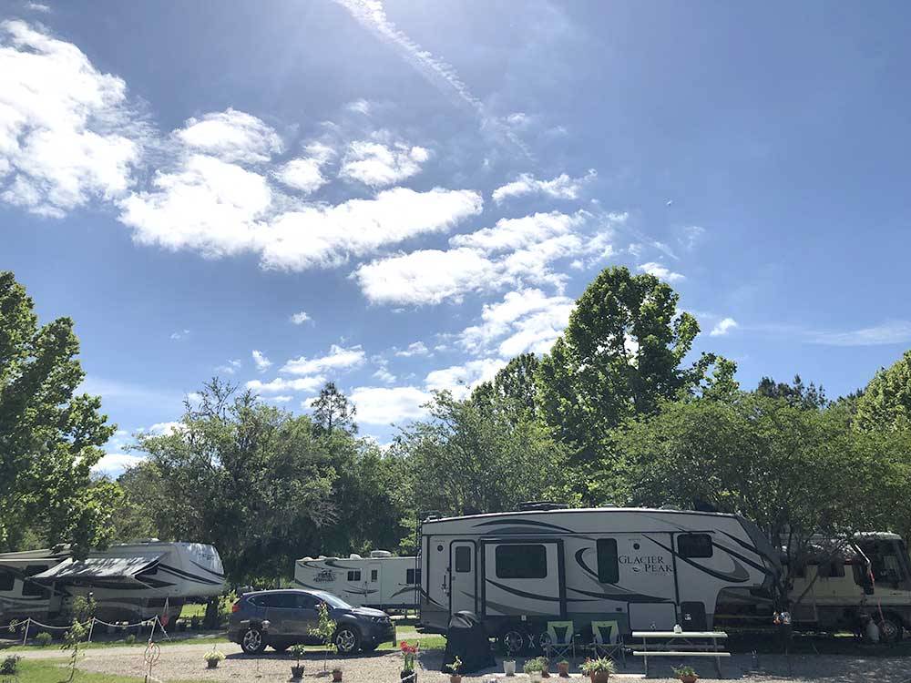 Group of RVs parked in sites at LAKE CITY RV RESORT