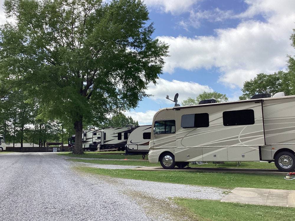 Trees by the RV sites