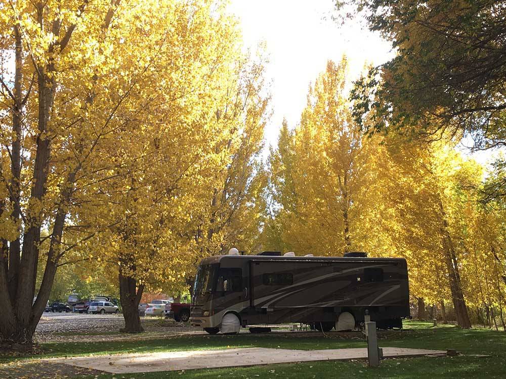 A motorhome parked under autumn colored trees at UNCOMPAHGRE RIVER ADULT RV PARK