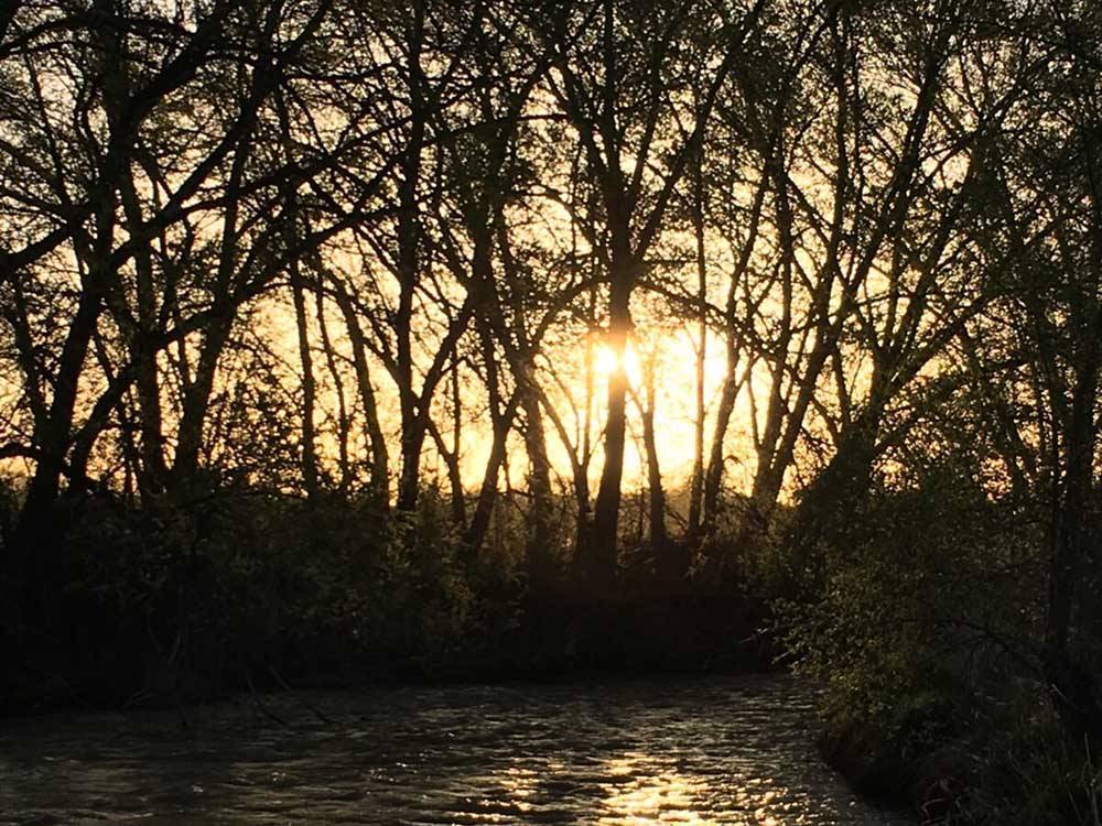 Breathtaking view of sunset thru trees at UNCOMPAHGRE RIVER ADULT RV PARK