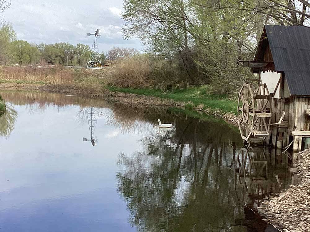 A swan in the pond with a windmill reflection at UNCOMPAHGRE RIVER ADULT RV PARK