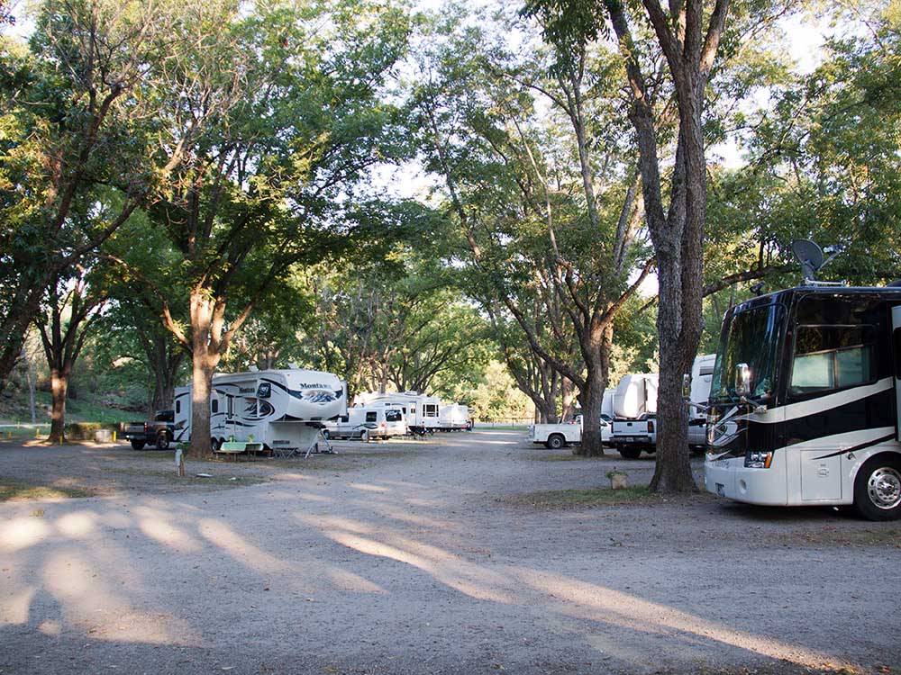 Road leading through RV park with trailers motorhomes at PARK RIDGE RV CAMPGROUND