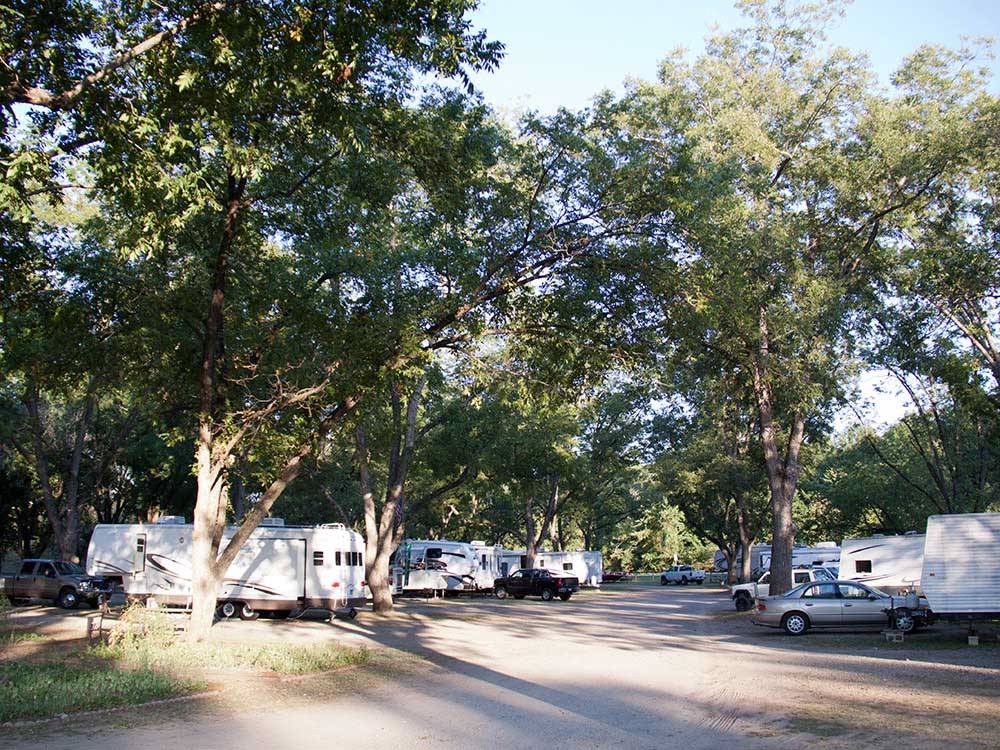 RV campsites line a dirt road under trees at PARK RIDGE RV CAMPGROUND