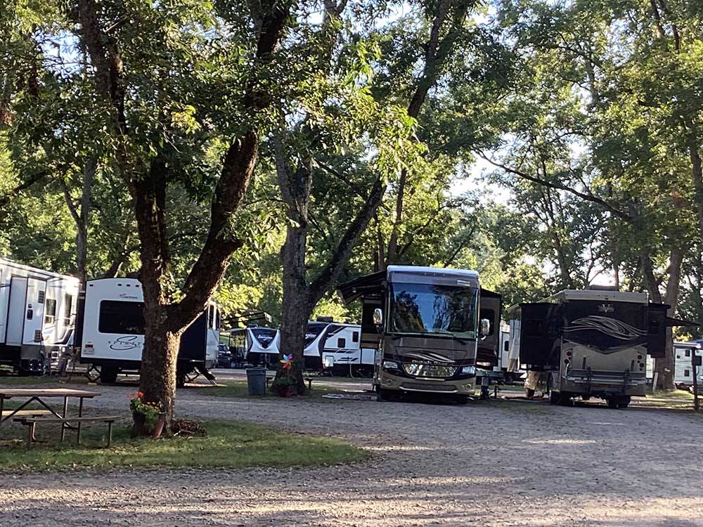 Motorhomes and trailers parked in gravel sites at PARK RIDGE RV CAMPGROUND