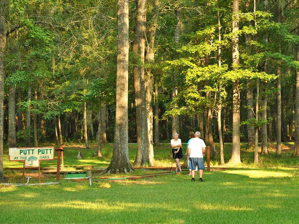 Miniature golf course at THOUSAND TRAILS THE OAKS AT POINT SOUTH