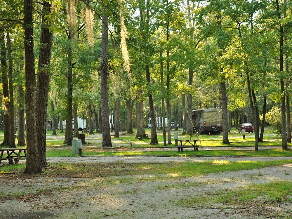 Campground at THOUSAND TRAILS THE OAKS AT POINT SOUTH