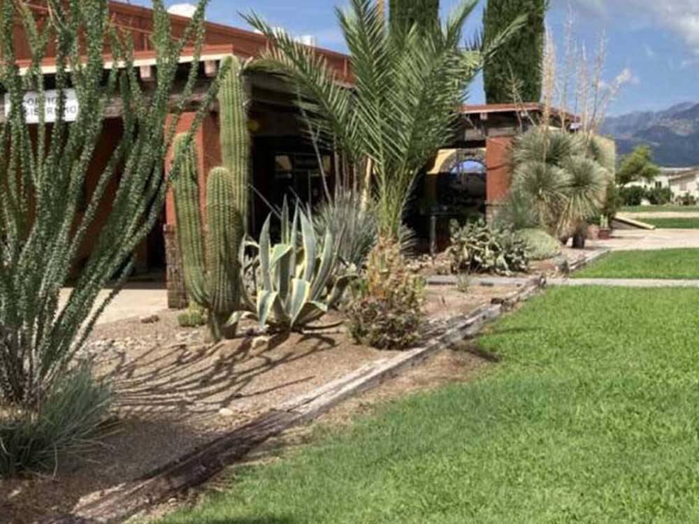 Campground building fringed with cacti and palms at DE ANZA RV RESORT