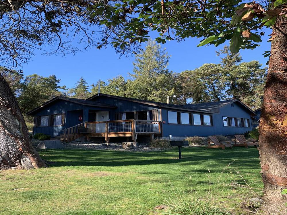 Rental cabins among the trees