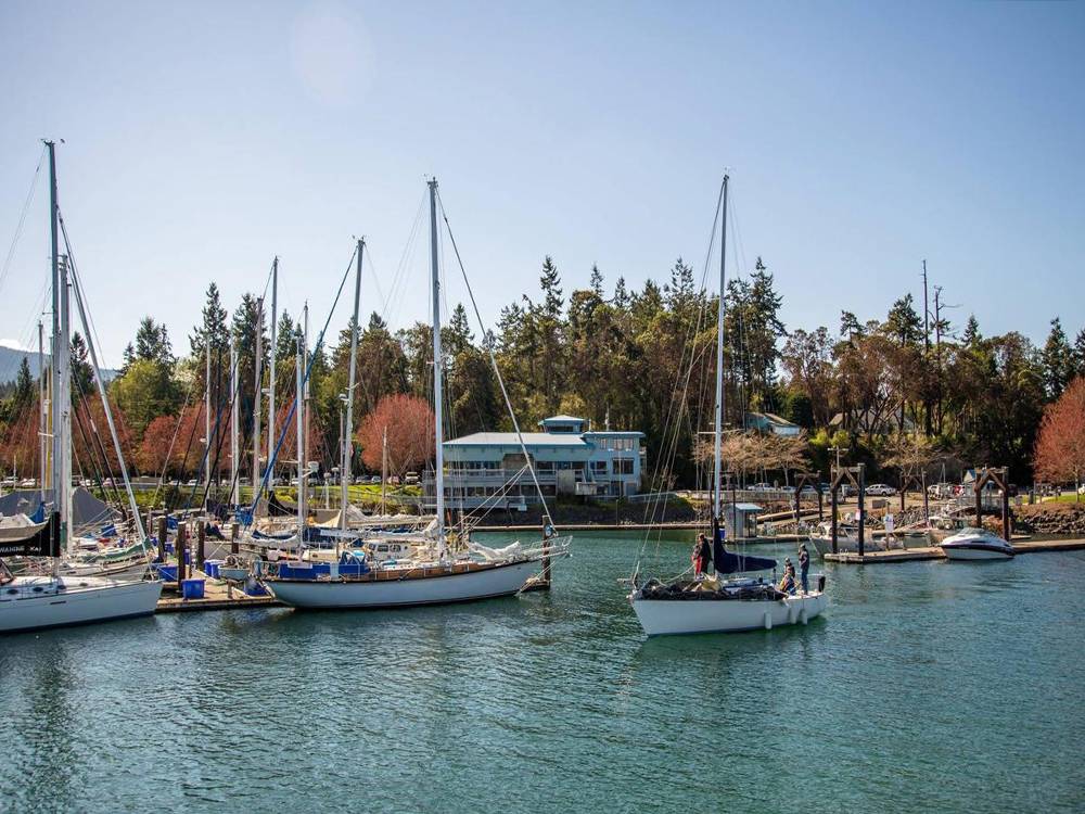 Boats docked at John Wayne Marina