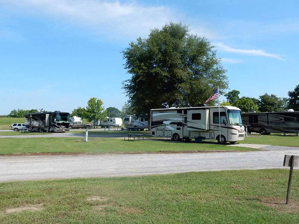 RVs and trailers at campground at RIVER VIEW RV PARK AND RESORT
