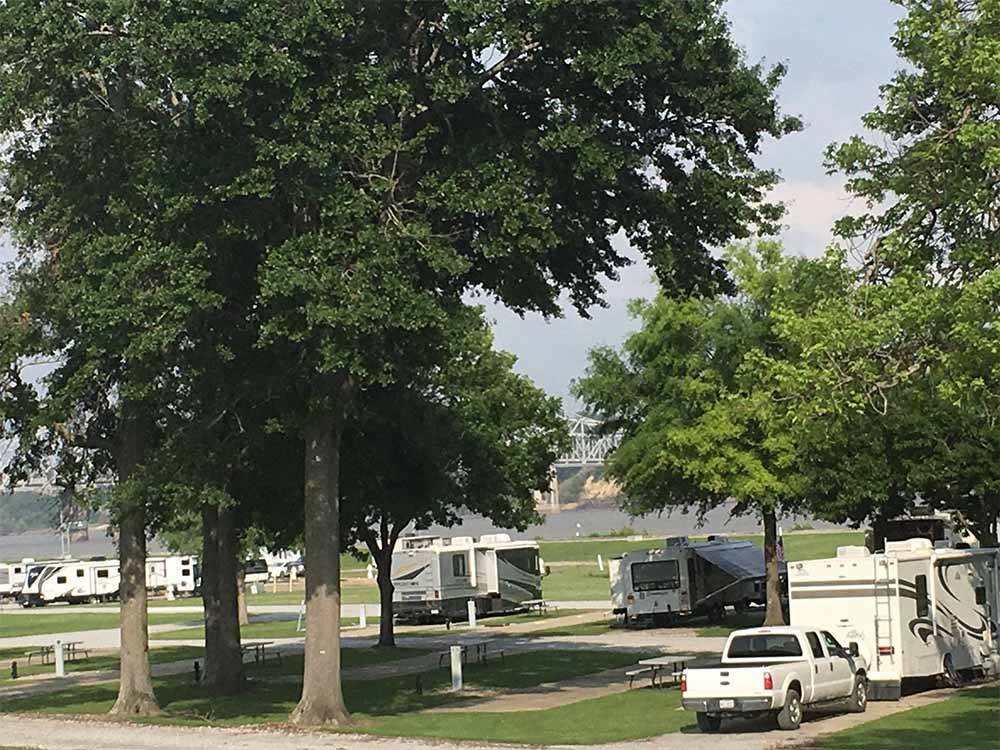 Some of the RV sites with trees at RIVER VIEW RV PARK AND RESORT