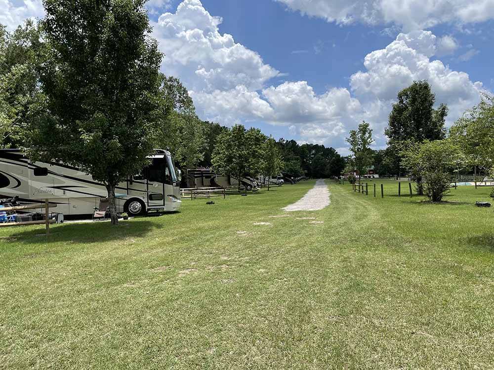 A row of grassy RV sites at RIVER BOTTOM FARMS FAMILY CAMPGROUND