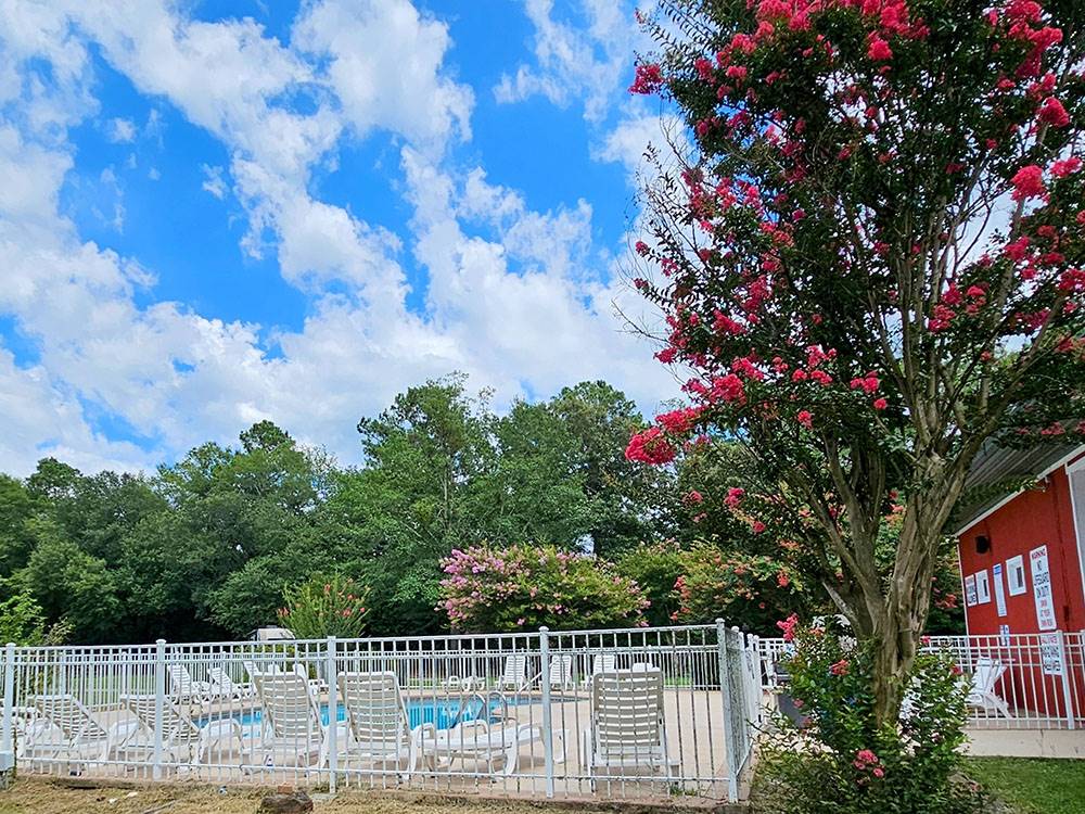 Swimming pool area at River Bottom Farms Family Campground