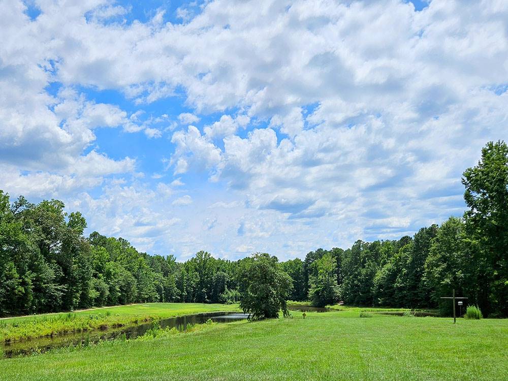 Tree lined field at River Bottom Farms Family Campground