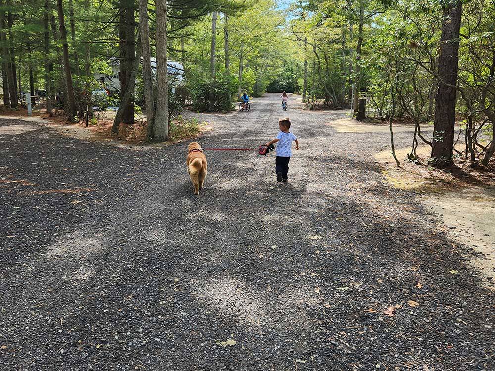 Boy walking his dog onsite at OCEAN CITY CAMPGROUND AND BEACH CABINS