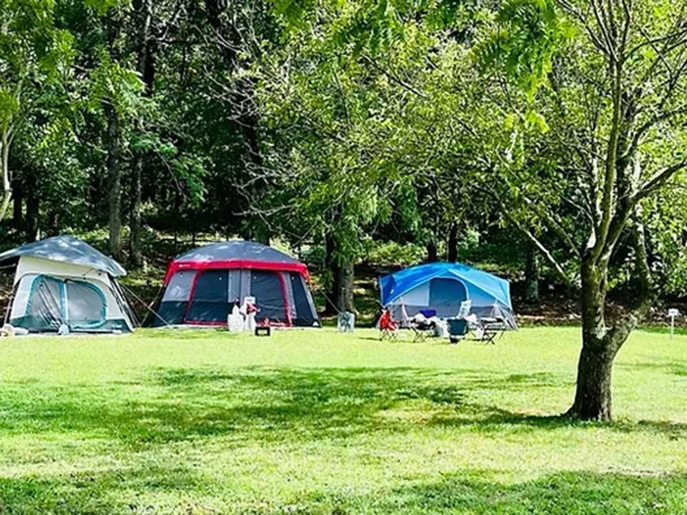 Tents set up at campsites at BALLARD'S CAMPGROUND