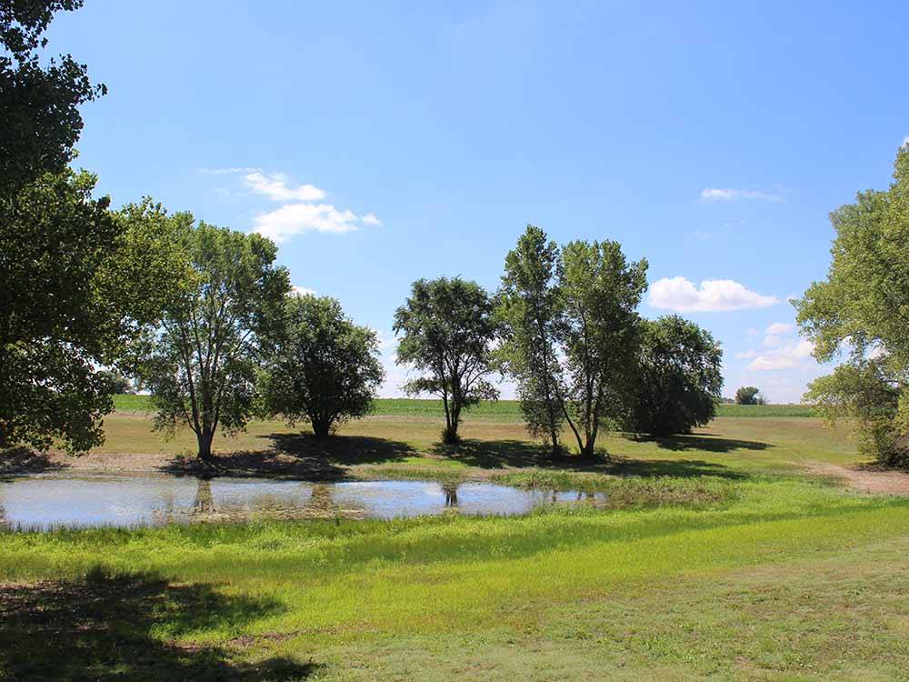 A grassy area next to the lake at SPRING LAKE RV RESORT