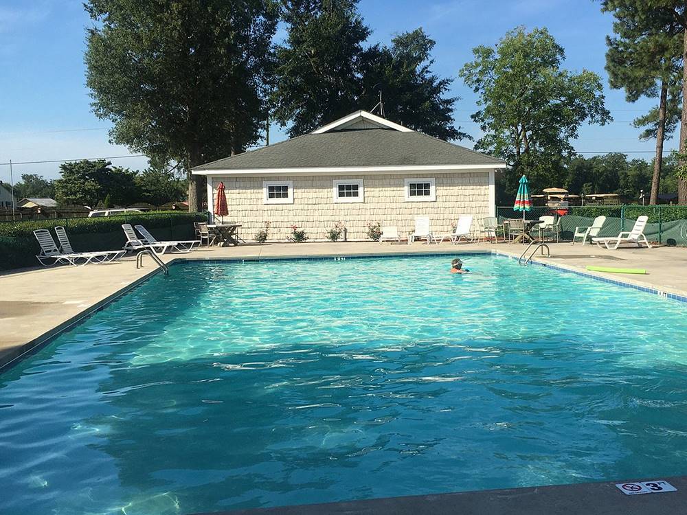 Pool area with lounge chairs at Tranter's Creek Resort & Campground