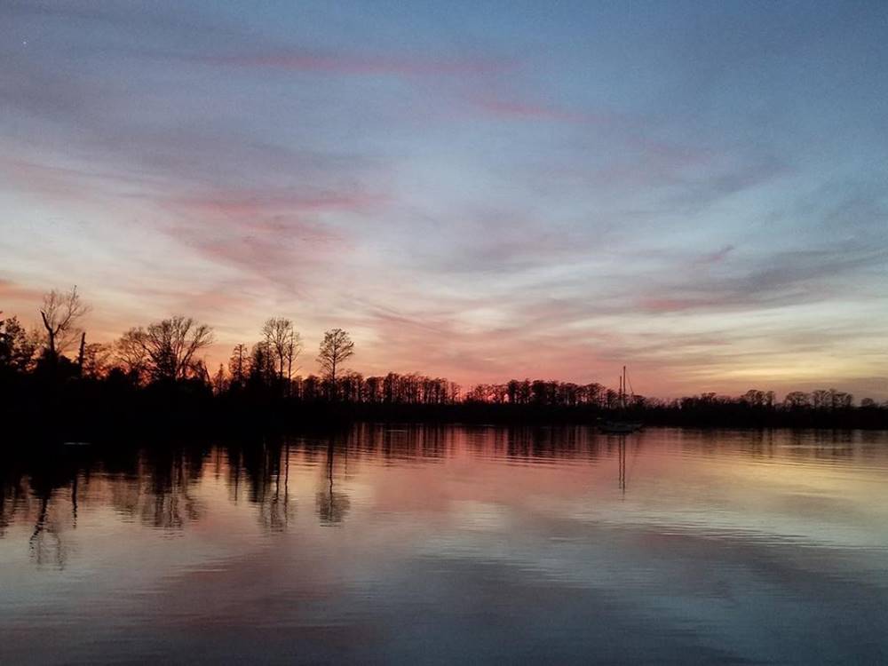 A view of the water at dusk at Tranter's Creek Resort & Campground