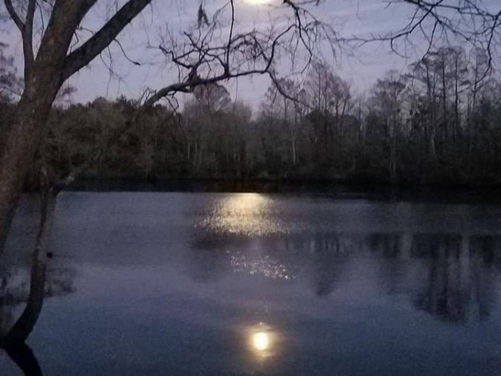 View of the moonrise over the water at Tranter's Creek Resort & Campground