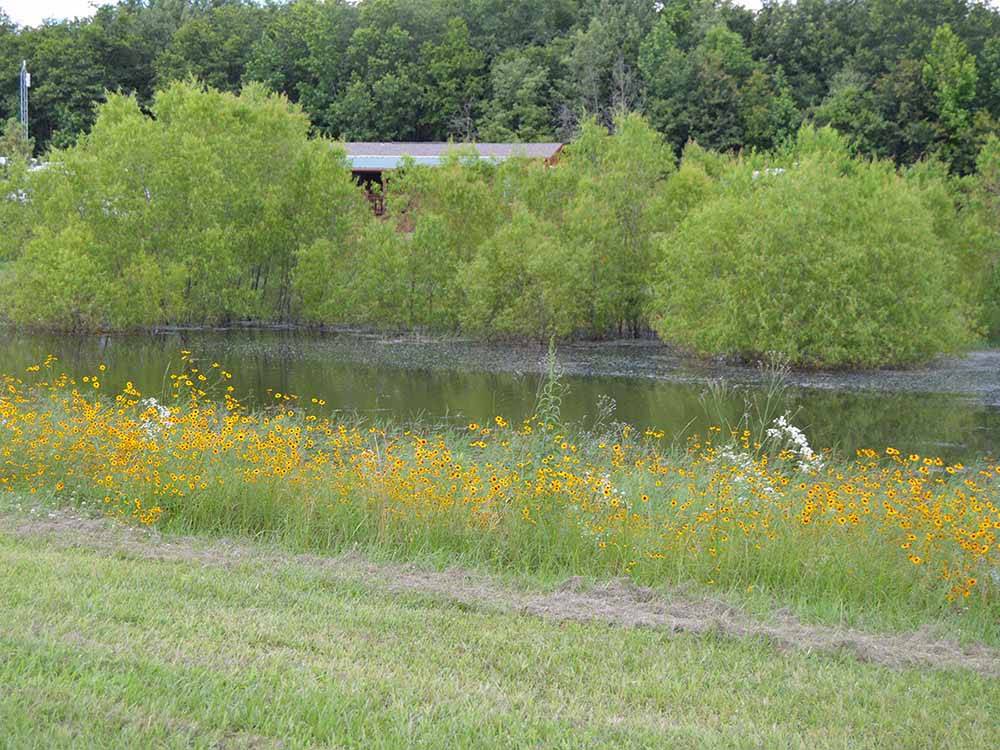 The lake and wildflowers at CARTHAGE RV CAMPGROUND