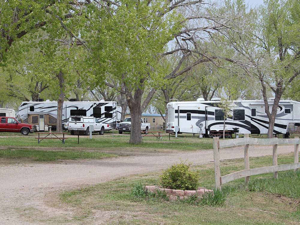 Trees among the RV sites