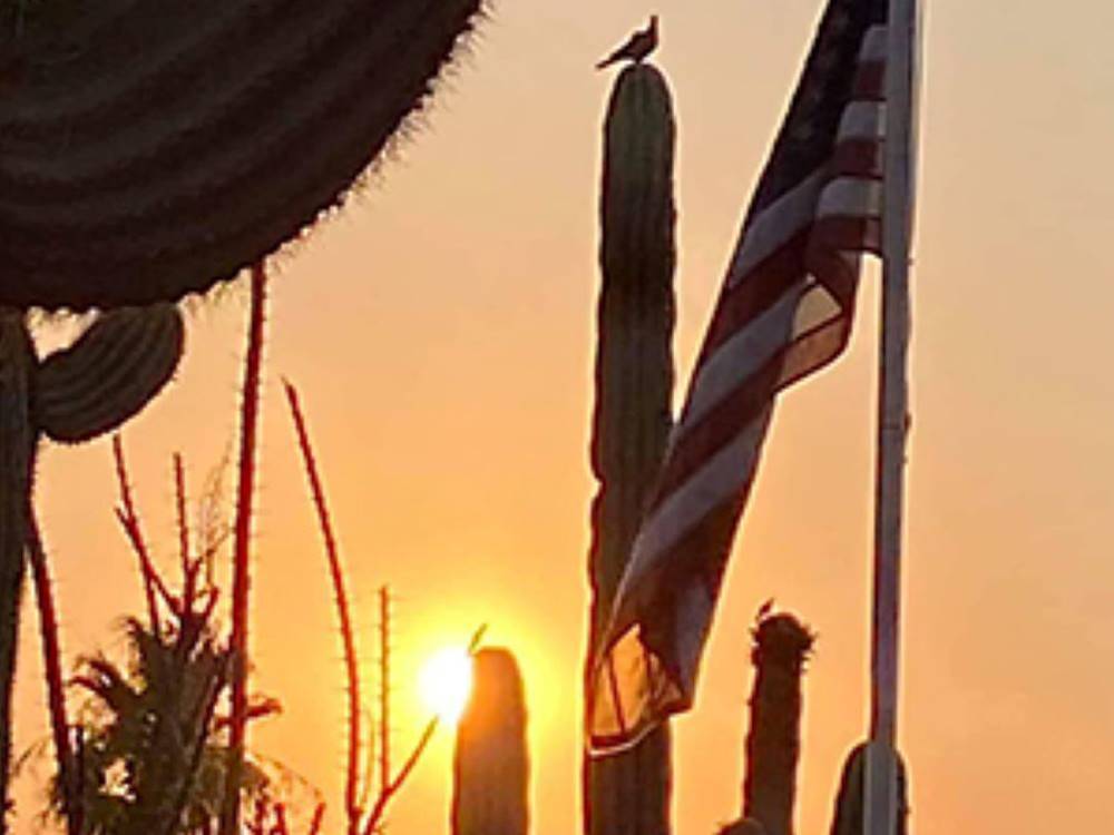 Sunset at park