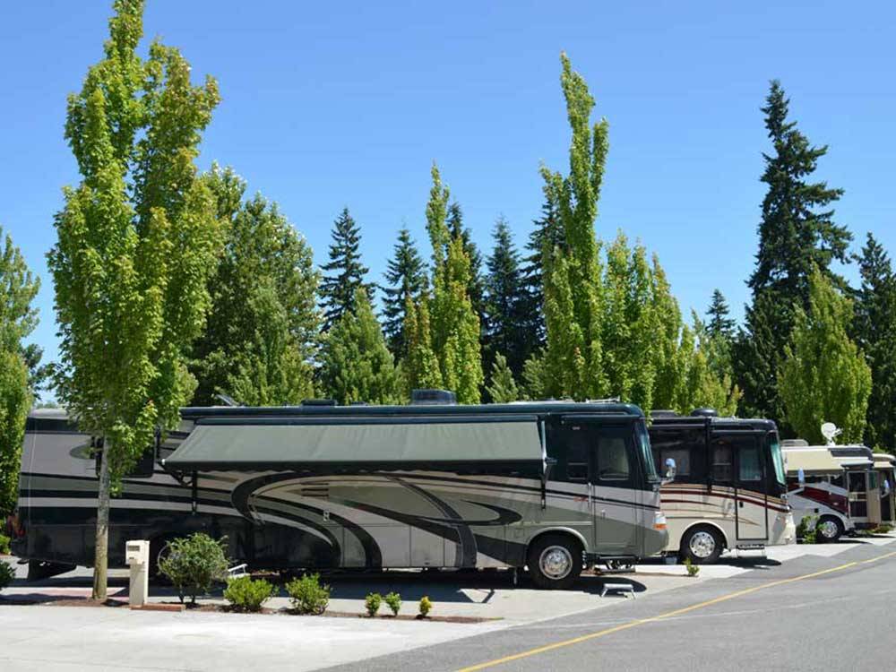 RVs parked at campsite at MAPLE GROVE RV RESORT