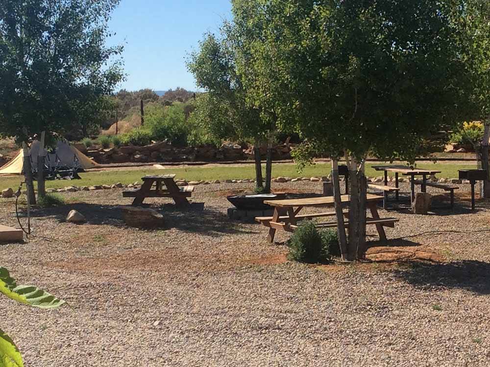 Picnic benches under trees at BLUE MOUNTAIN RV AND TRADING