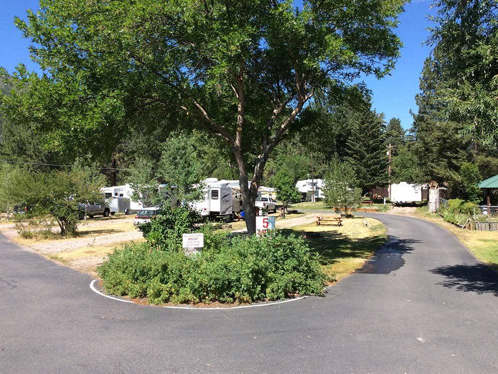 Road leading into campground at TURAH RV PARK