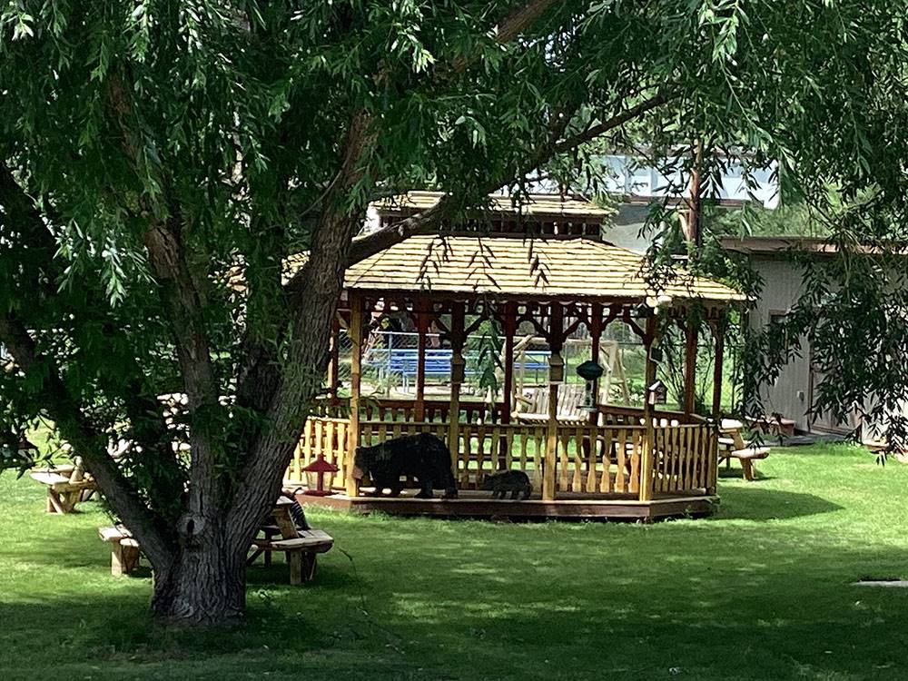 A wood gazebo with carved bears on it at TURAH RV PARK