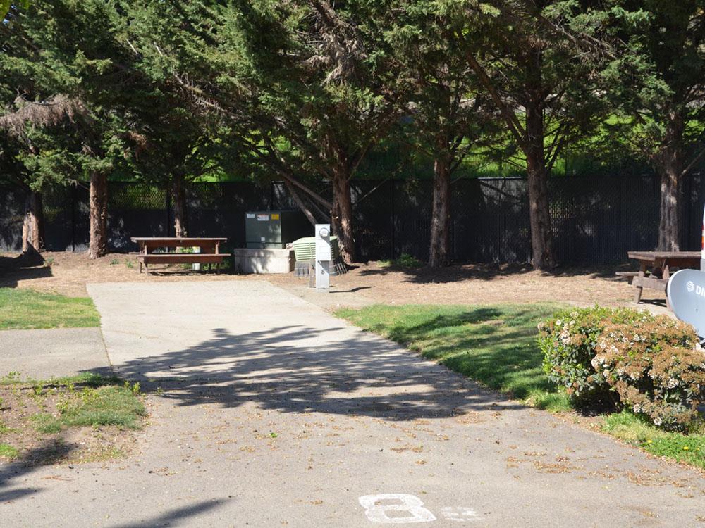 Empty paved site, trees and table at JACK'S LANDING RV RESORT