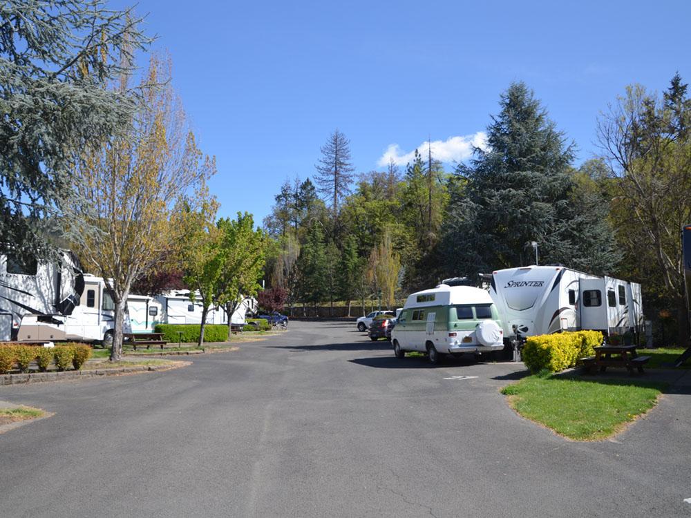 Paved road leading to RV sites at JACK'S LANDING RV RESORT