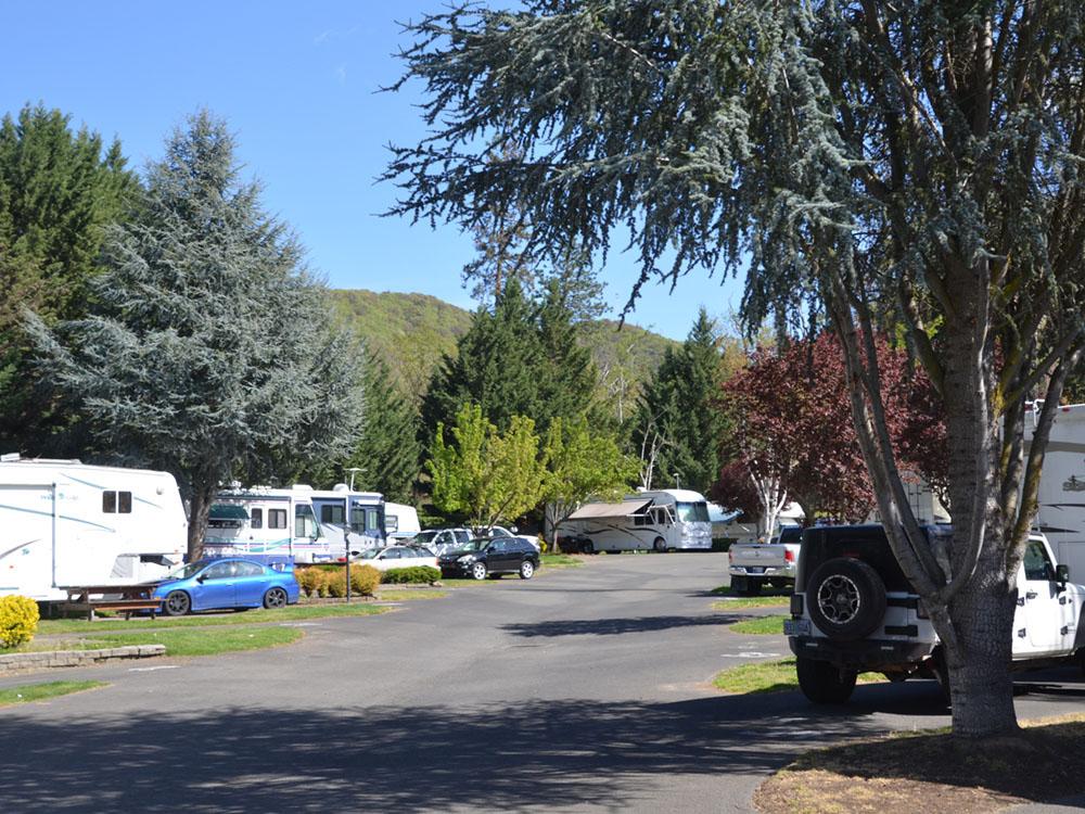 Multiple occupied RV sites at JACK'S LANDING RV RESORT