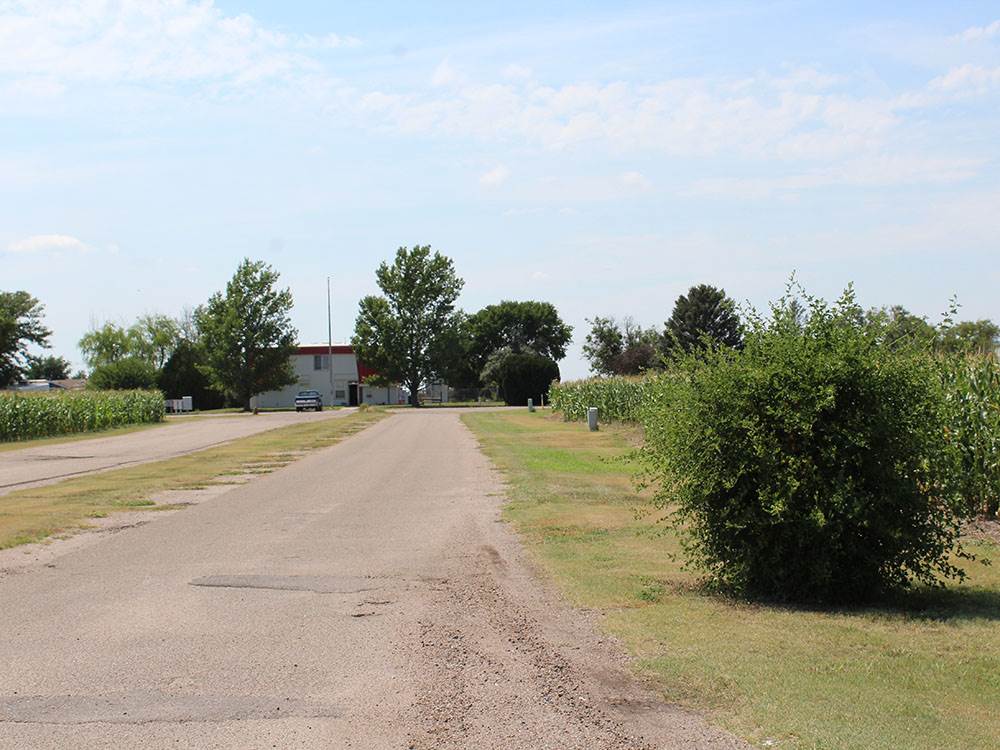 Road leading to sites
