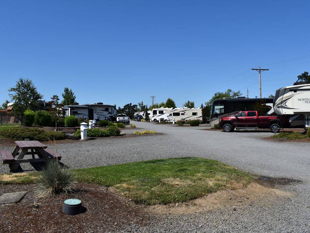 RVs parked in sites