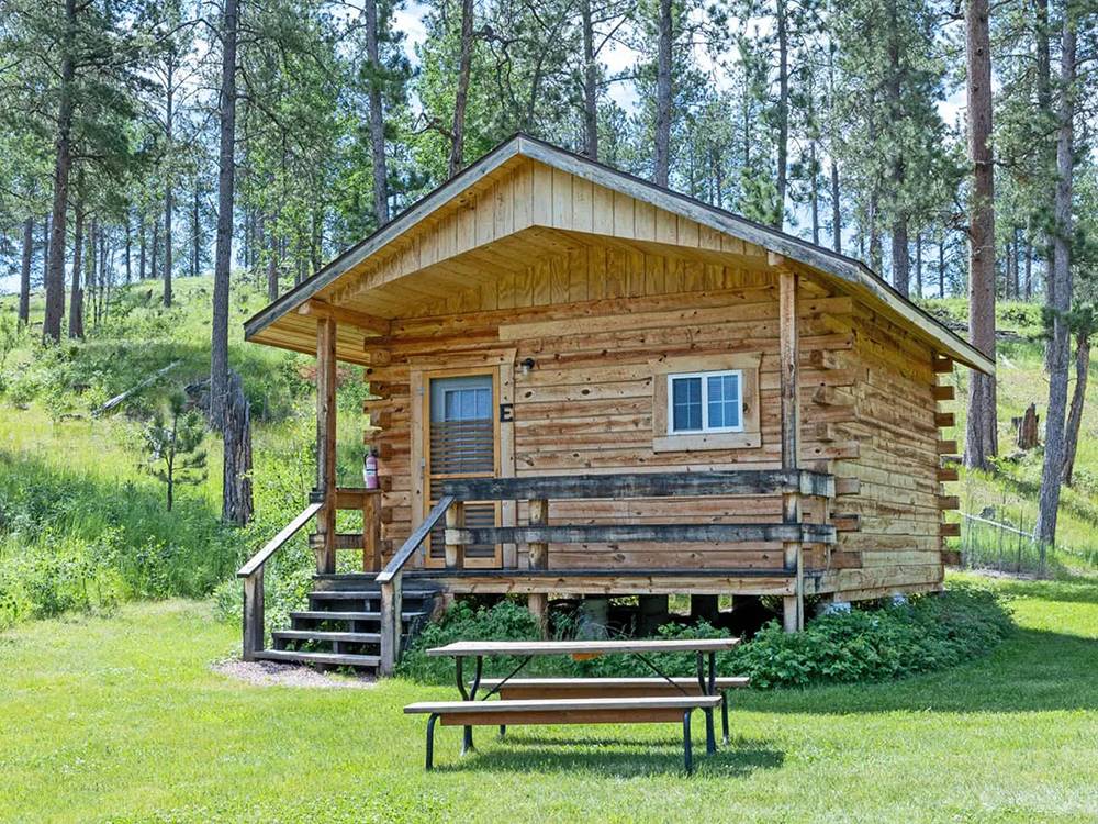 A rustic cabin with porch and picnic table at Custer's Gulch RV Park & Campground