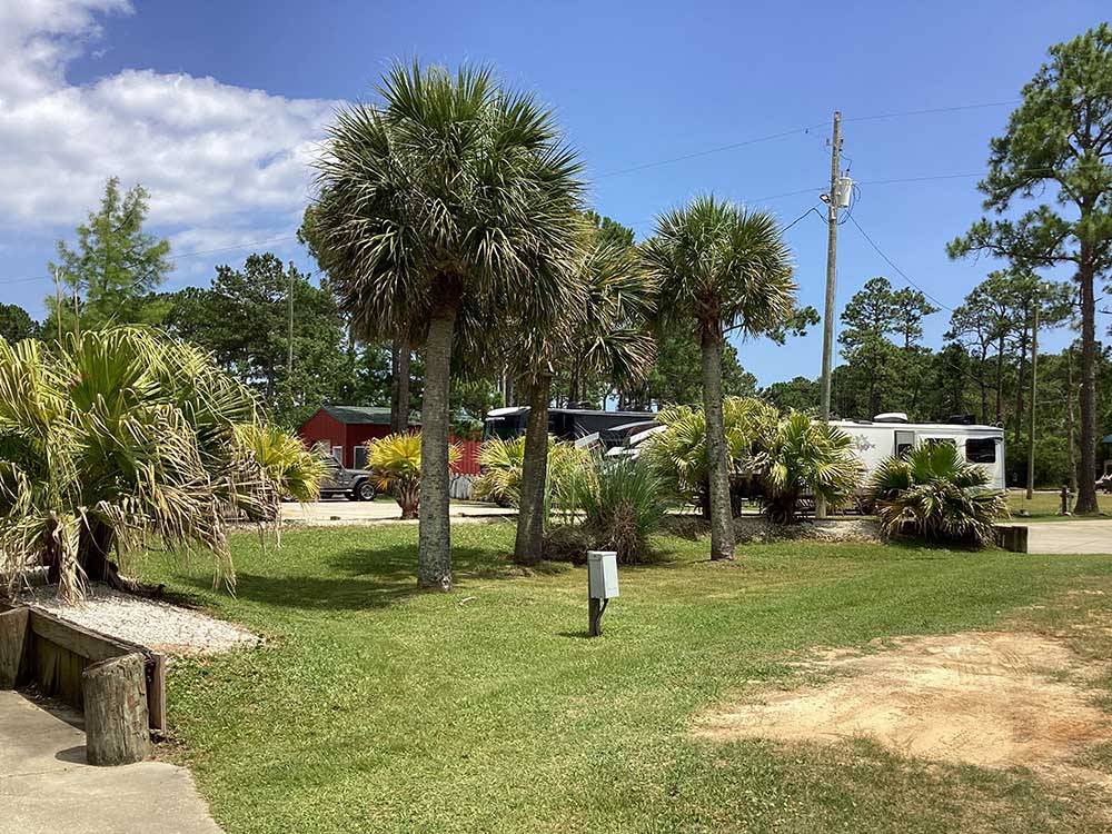 A grassy area next to some pine trees at BAY PALMS RV RESORT