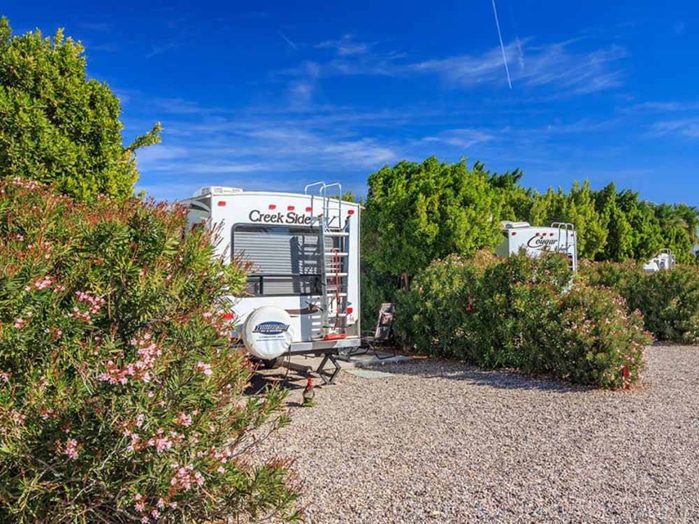 A row of private gravel RV sites at DESERT VIEW RV RESORT