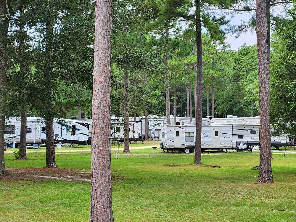 Trailers parked in sites at EDMUND RV PARK